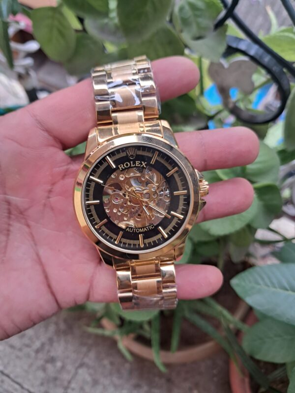Men's Luxury Automatic Movement Watch